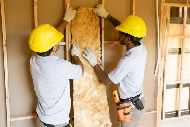 Best Blown-In Insulation  in Gaylord, MI