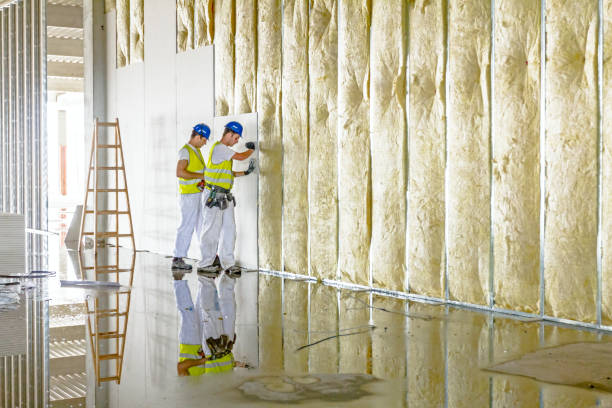 Types of Insulation We Offer in Gaylord, MI